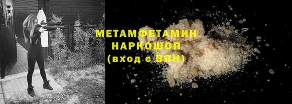 гидра Козловка