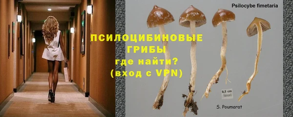 MESCALINE Абинск