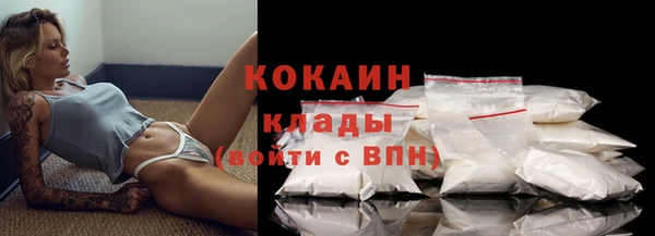 прущие грибы Кодинск