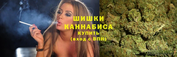 гидропоника Абаза